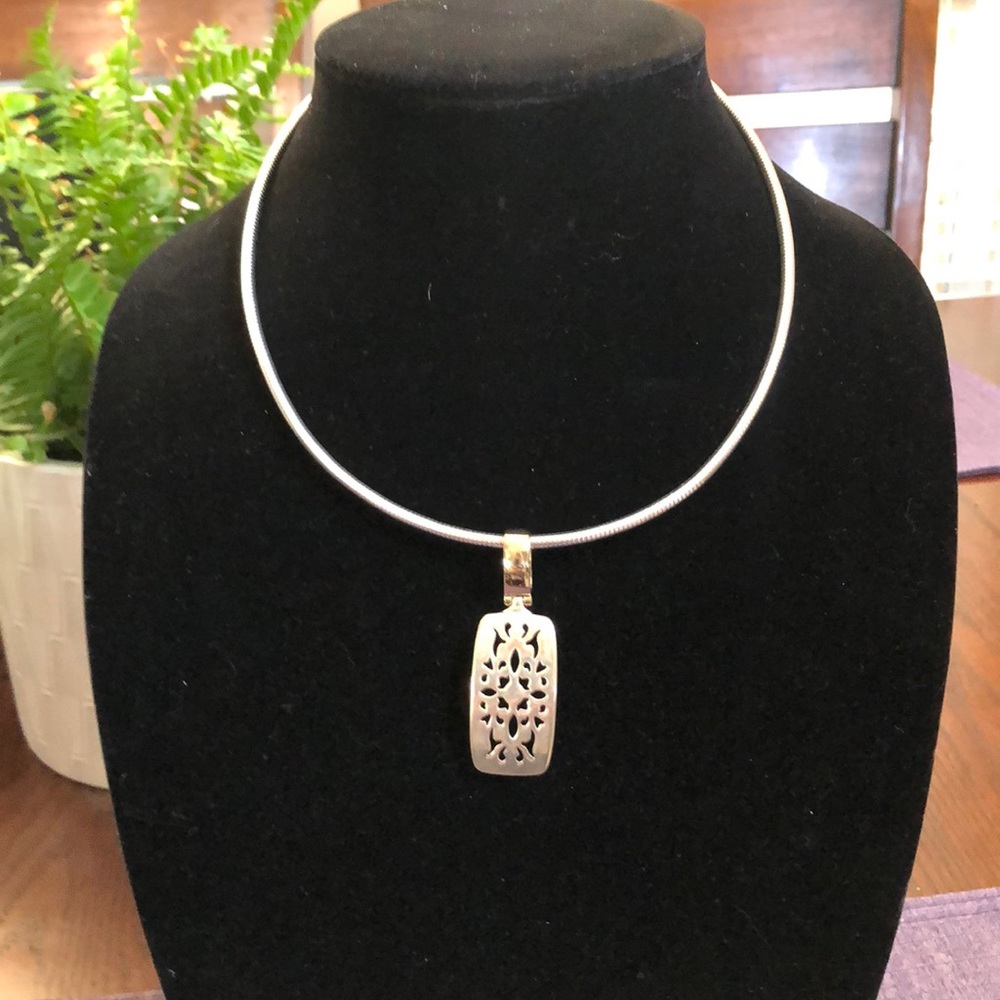 💎Premier Design necklace and charm💎